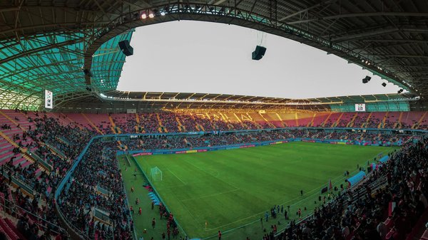 Contexte scientifique de la croissance des biceps