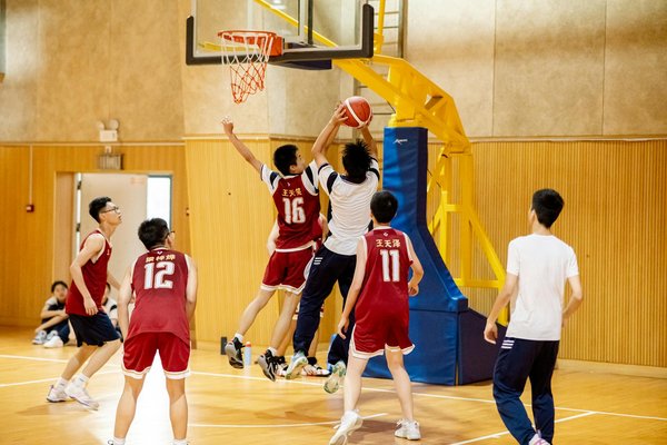 Profiter du coaching sports de combat à vannes : un accompagnement personnalisé pour progresser